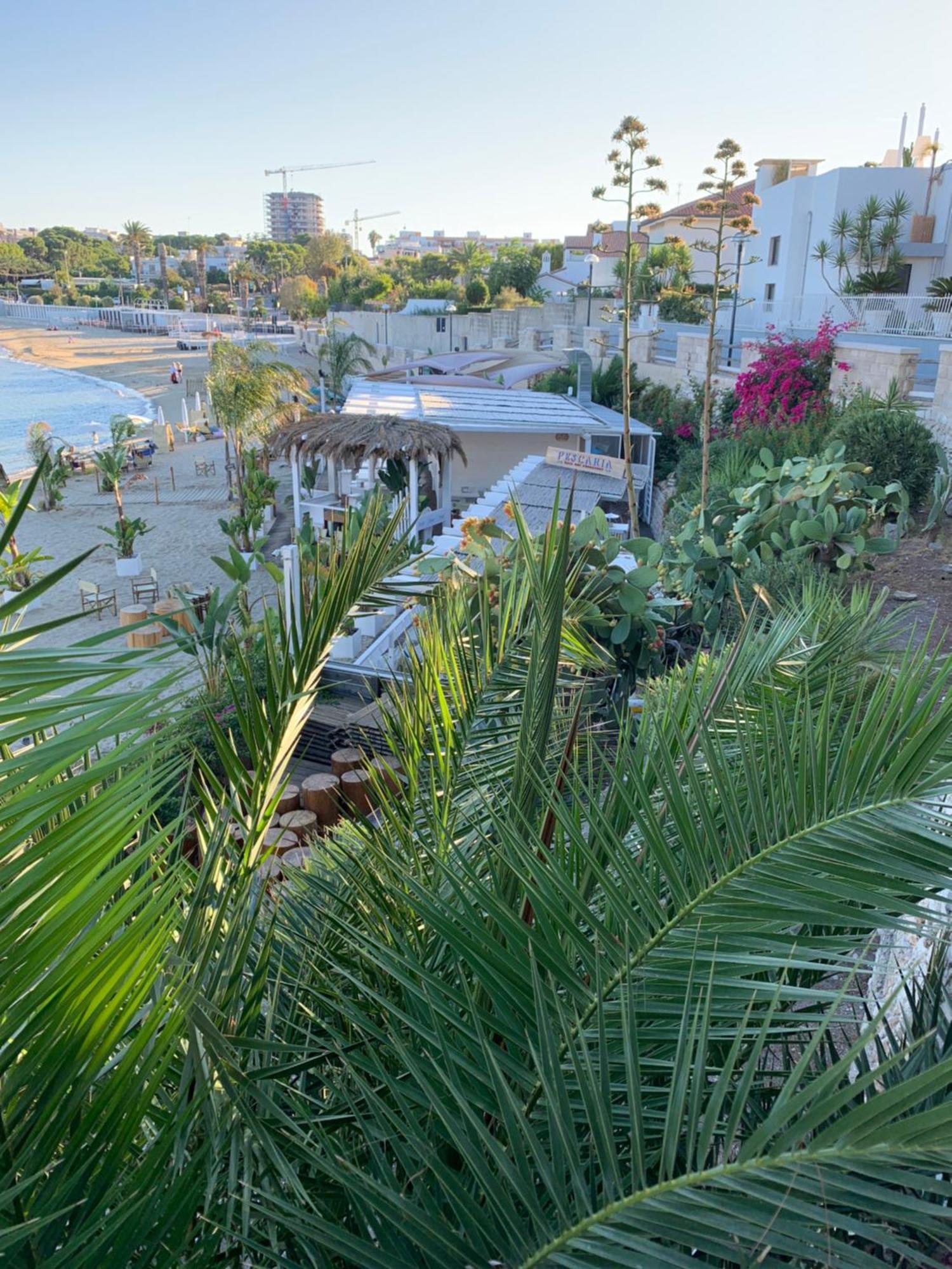 Vischi Apartment Trani By Le Marinelle Loc Turistica エクステリア 写真